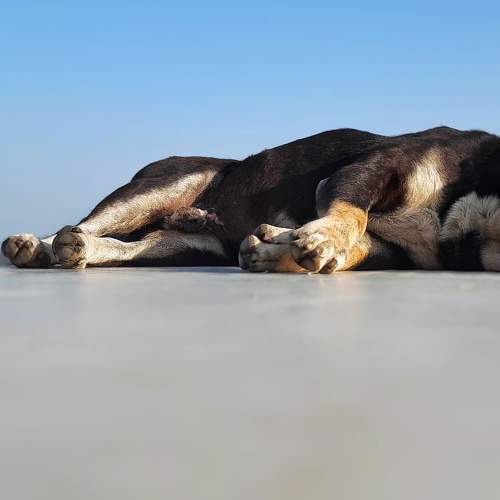 Photo #7292331