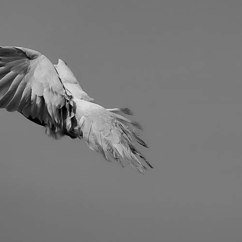 Photo #7292402