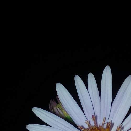 Photo #7292645