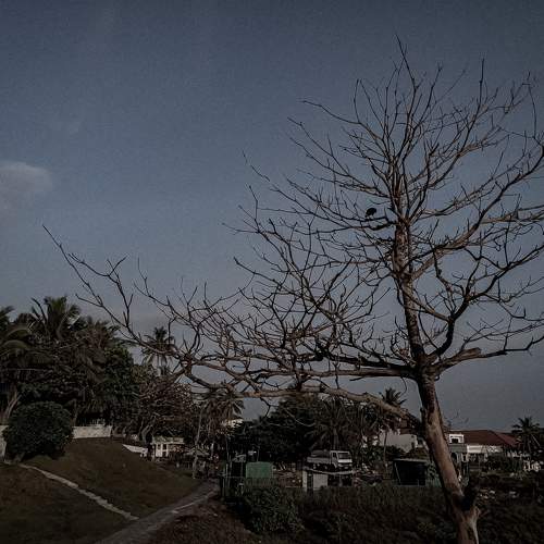 Photo #7292969