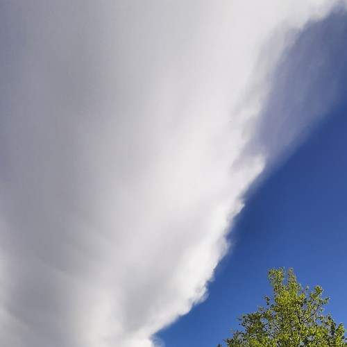 Photo #7293304