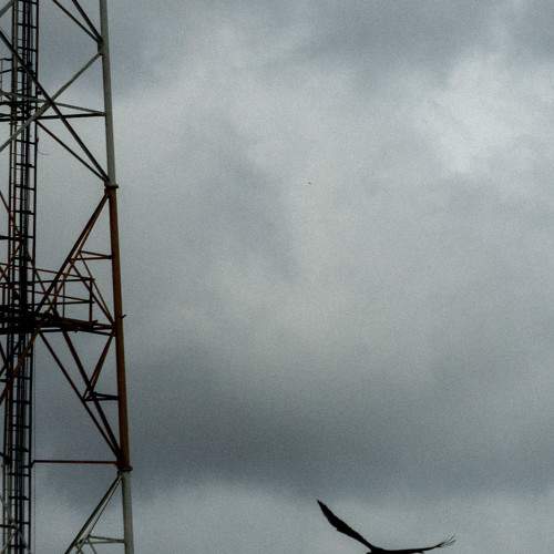 Photo #7293828