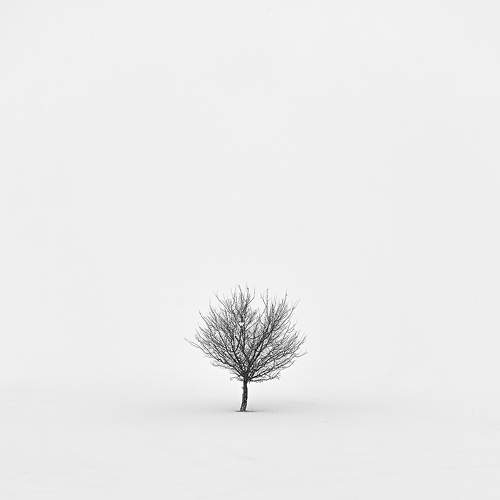 Lost in the snow