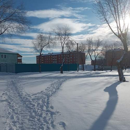 Photo #7294393