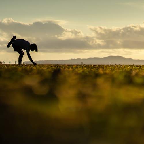 Photo #7295150