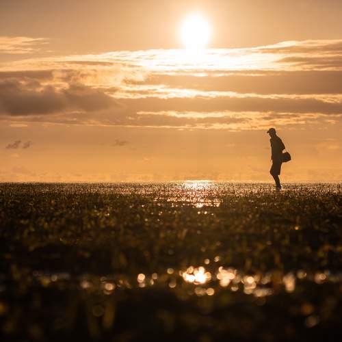 Photo #7295264