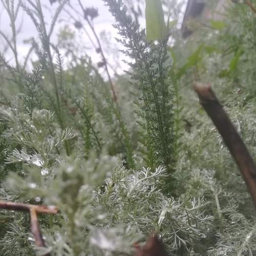 Photo #7295377