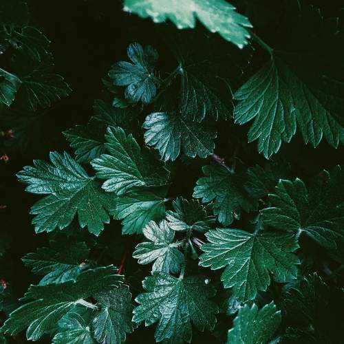 Photo #7295728