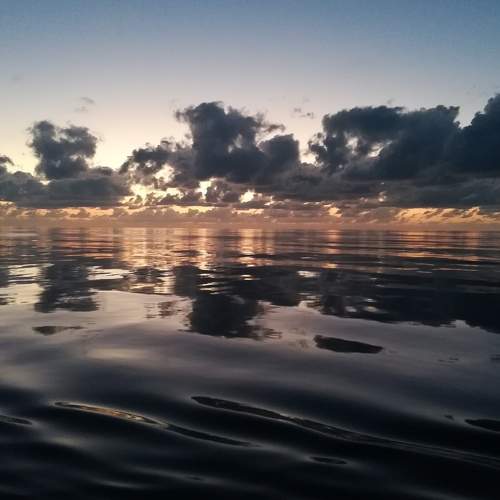Photo #7295744