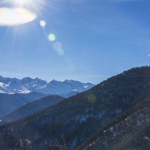 Photo #7296455