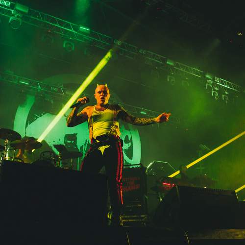 Photo #7296670