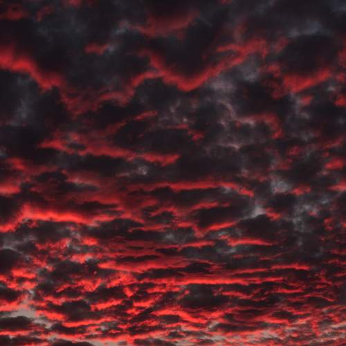 Photo #7296786