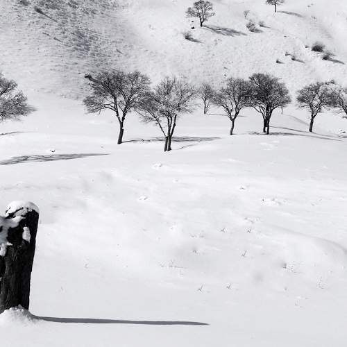 Photo #7296827