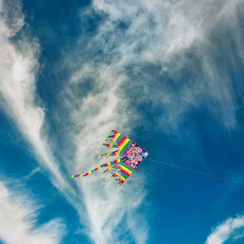 Photo #7297001