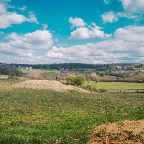 Photo #7297060