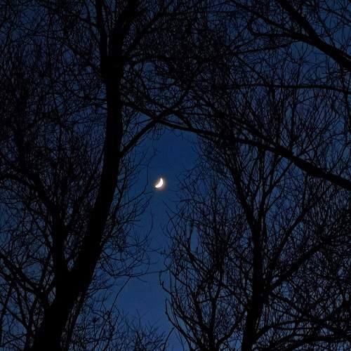 Photo #7297240