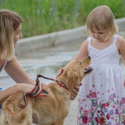 Photo #7297304