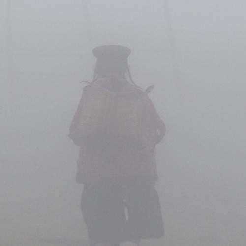 Photo #7297656
