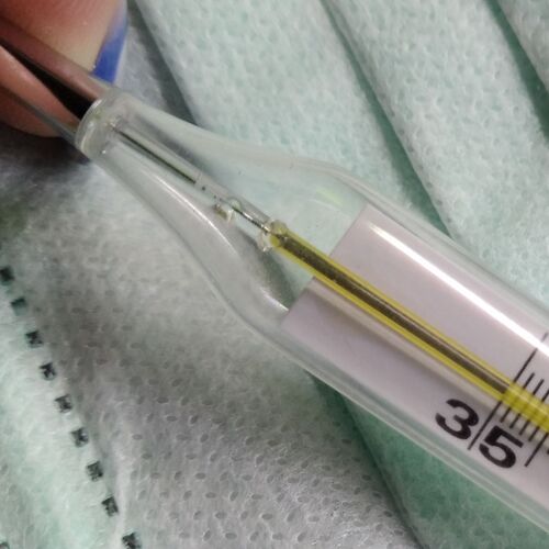 Photo #7297669