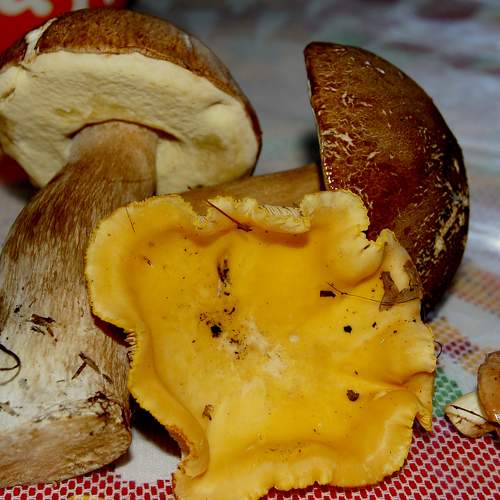 Photo #7297739
