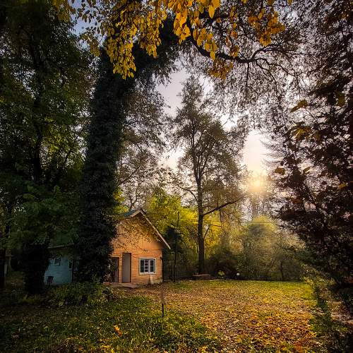 Autumn afternoon