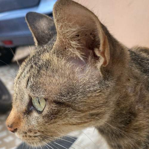 Photo #7297814