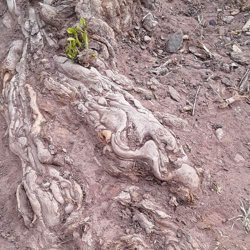 Photo #7298052