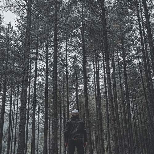 Photo #7298055