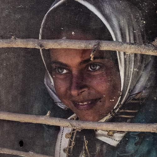 Photo #7298331