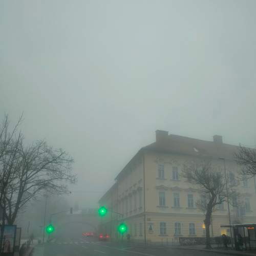 Photo #7298363