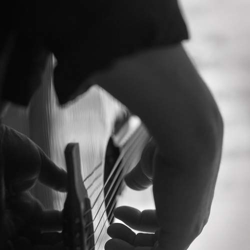 Photo #7298598