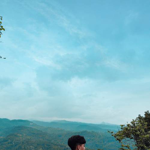 Photo #7299021