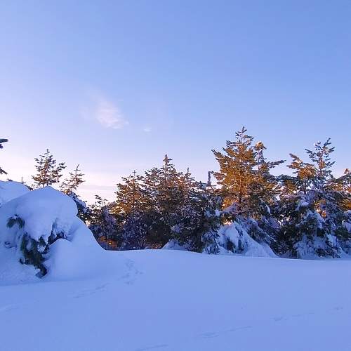 Photo #7299125