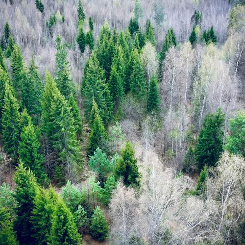 Photo #7299153