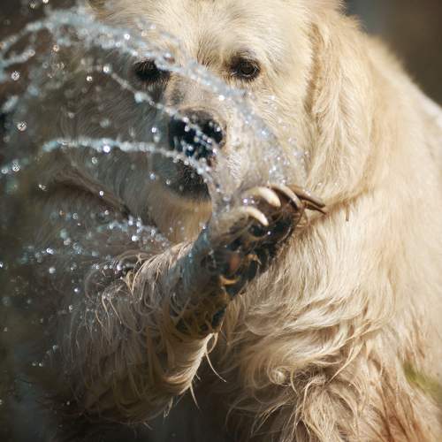 Photo #7299205