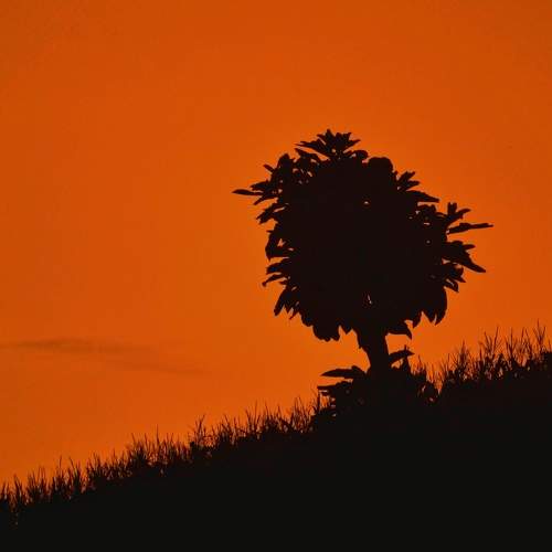 Photo #7299310