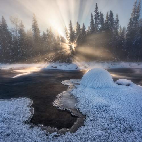Photo #7299650