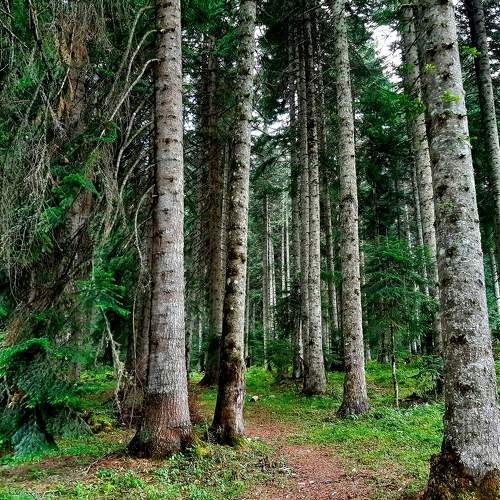 Photo #7299729