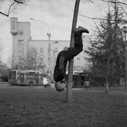 Photo #7299788