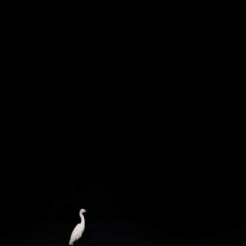 Solitary