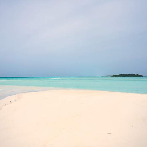 Photo #7300450