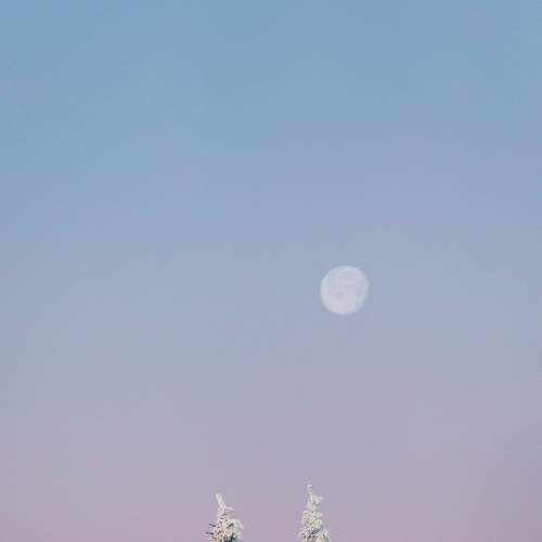 Photo #7300479