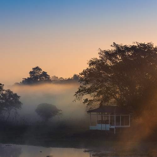 Lightened fog