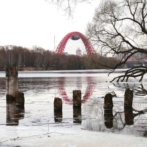 Photo #7300586