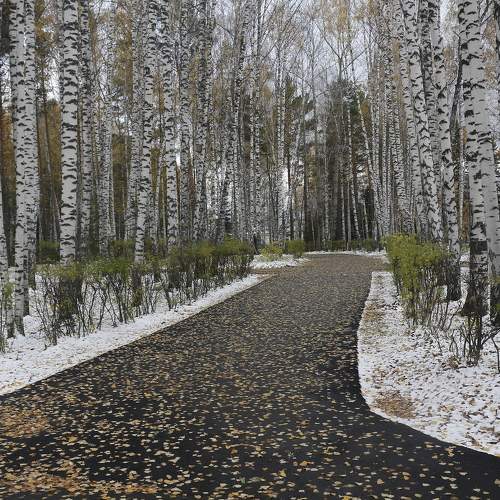 Photo #7300606