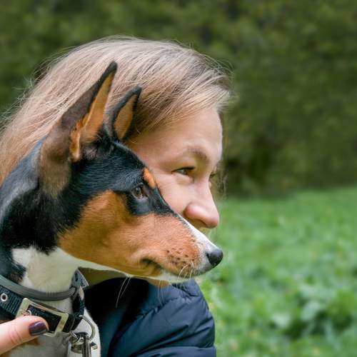 Photo #7300725