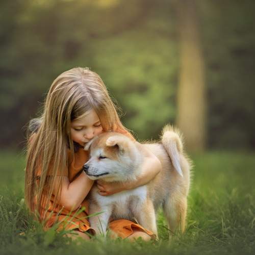 Photo #7300928