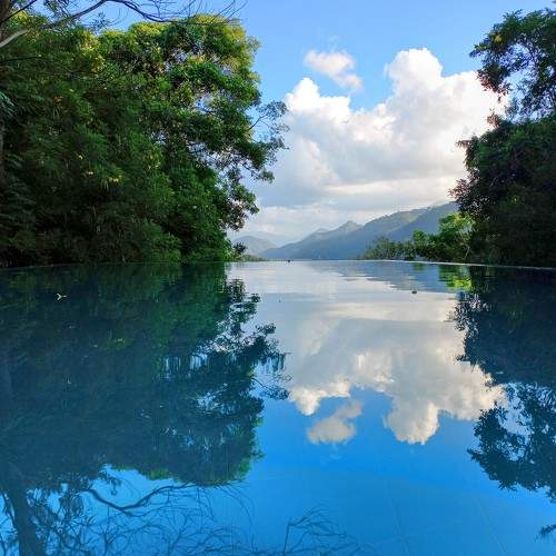 Photo #7301580