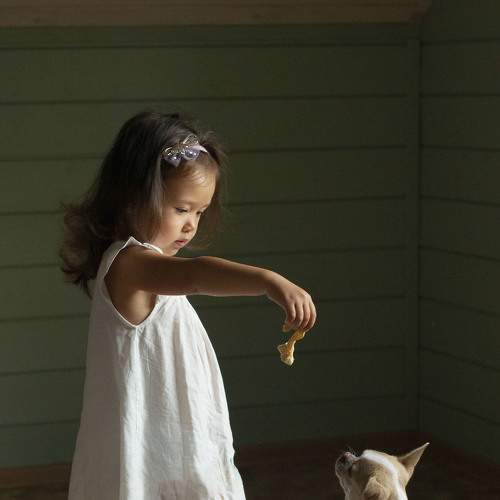 Photo #7301584