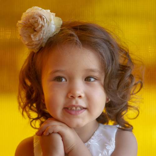Photo #7301598